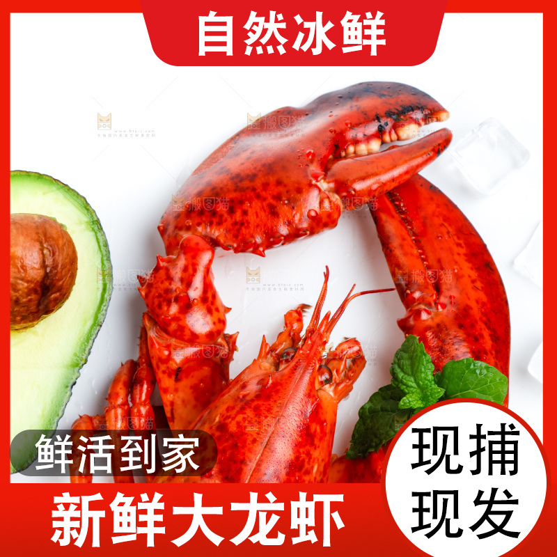 波士顿大龙虾放在浅底上