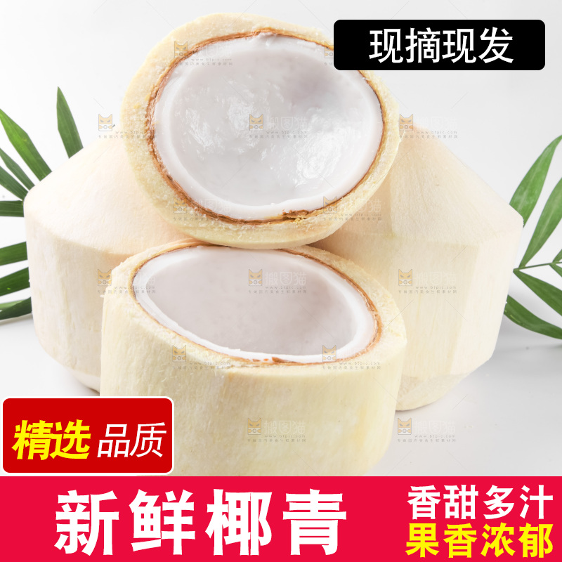 白底上放着椰青