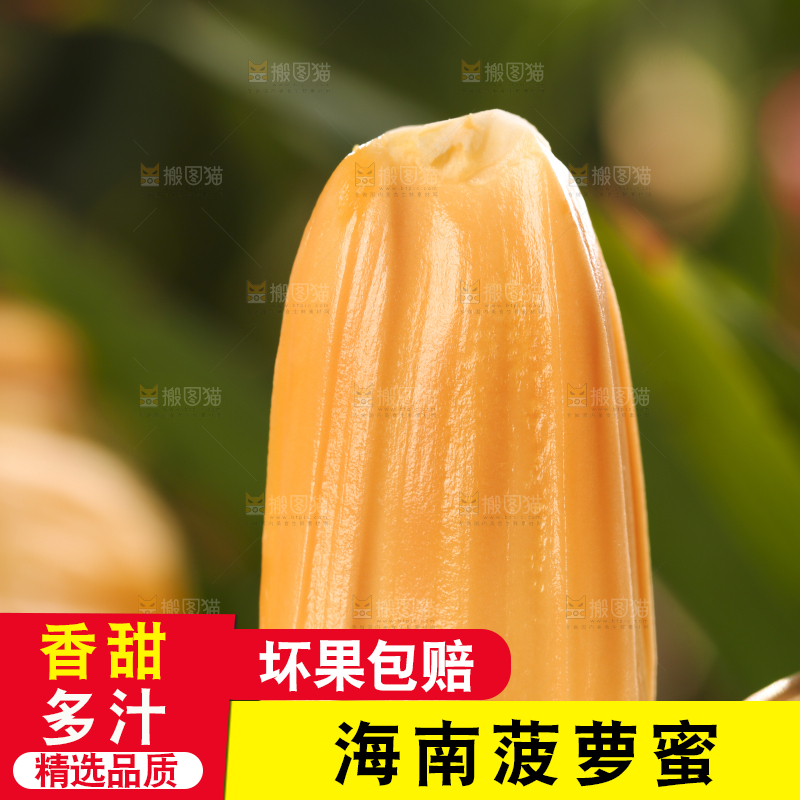 深底上的海南红肉菠萝蜜