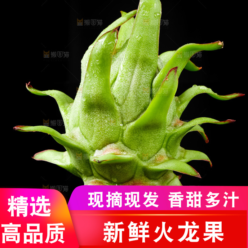 黑底上的火龙果