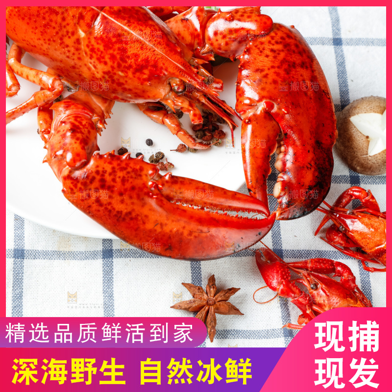 格子布上放着一盘大龙虾