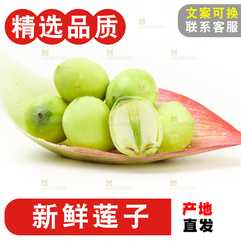 白底上放着新鲜莲子