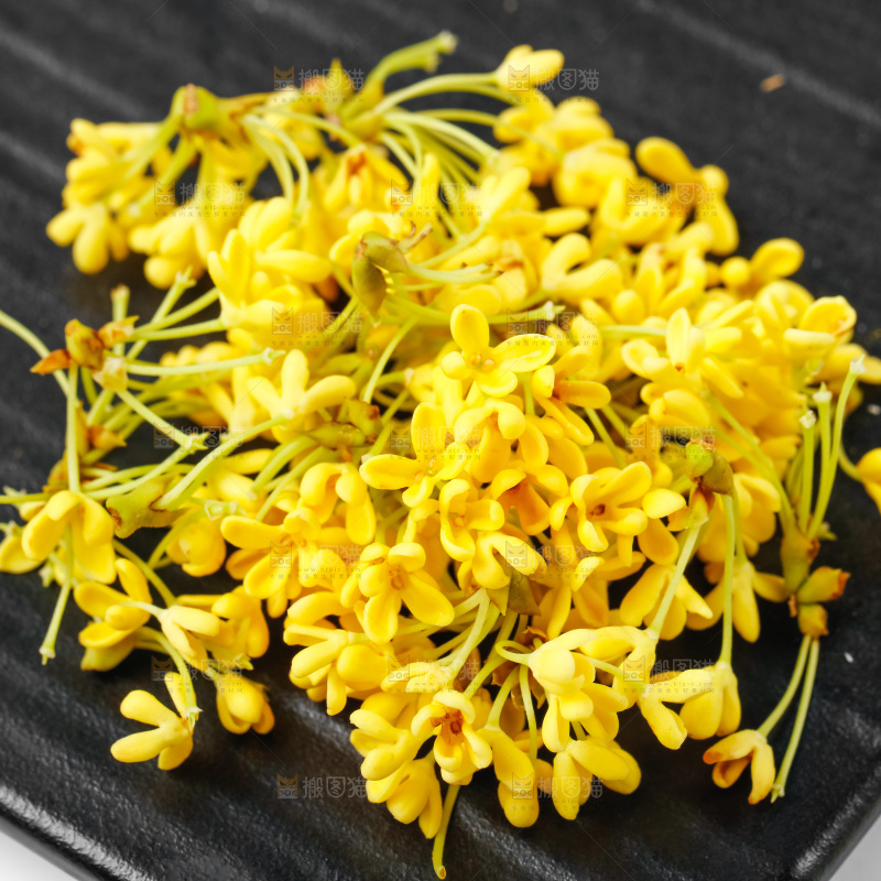 石板上的金桂花