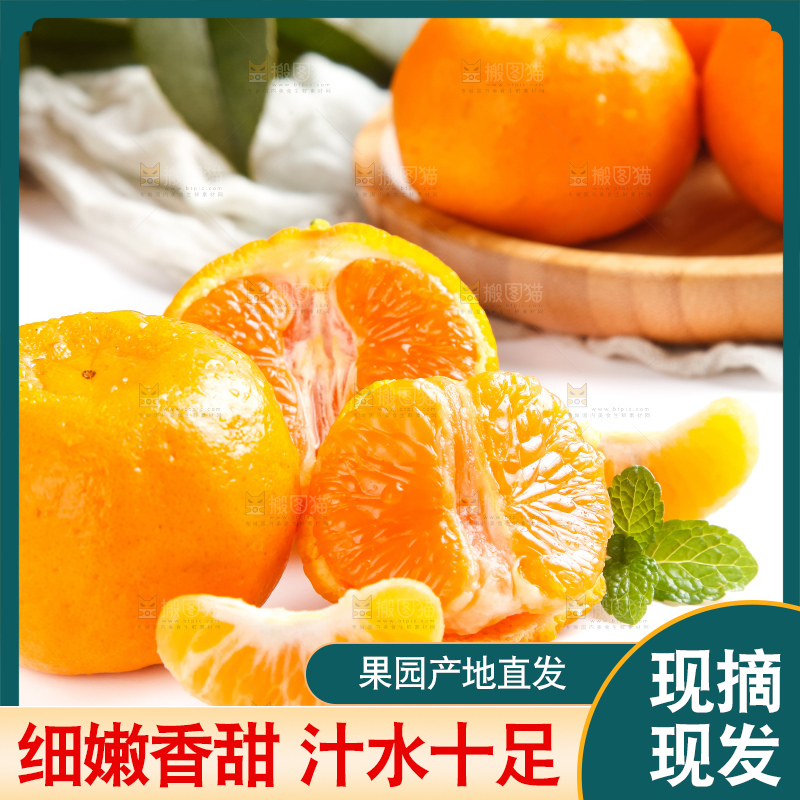 白底上的永春芦柑