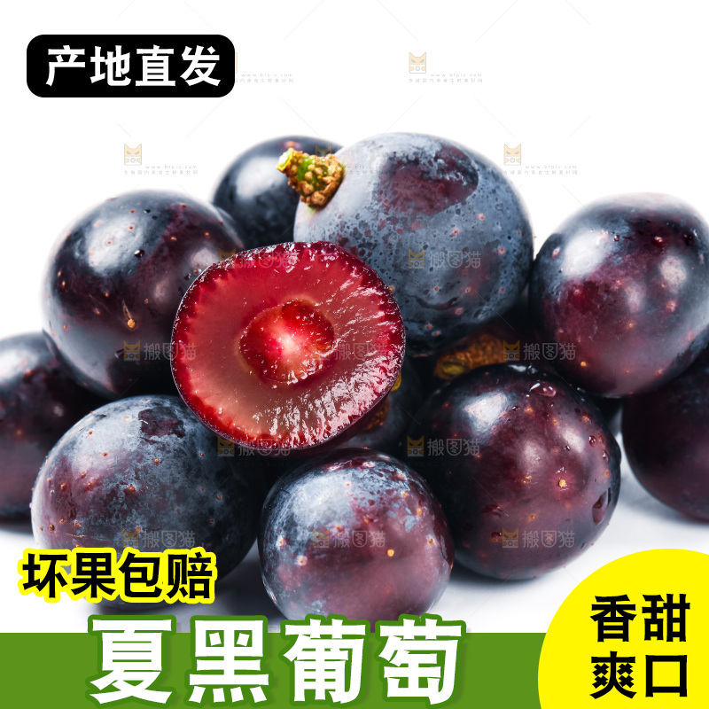 云南夏黑葡萄放在白底上