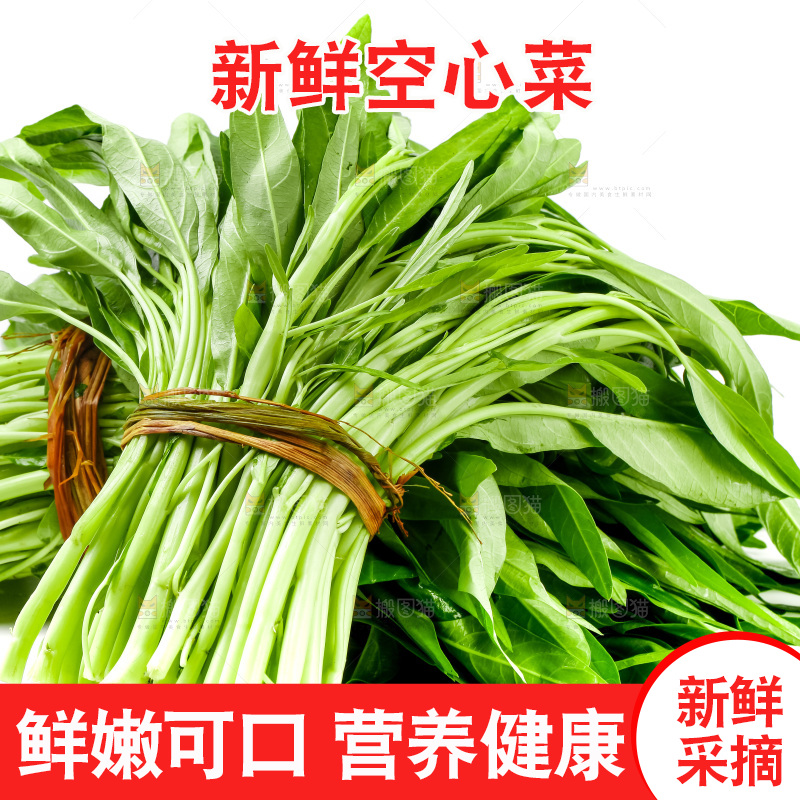 白底上放着新鲜空心菜