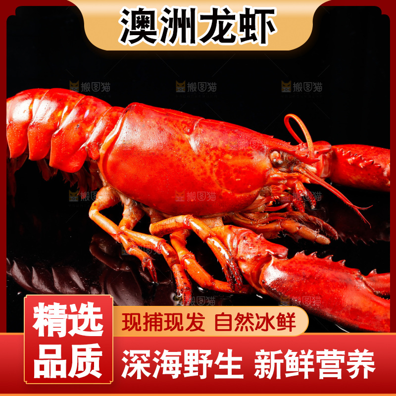 黑底上放着波士顿龙虾