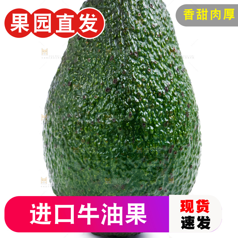 新鲜牛油果放在白底上