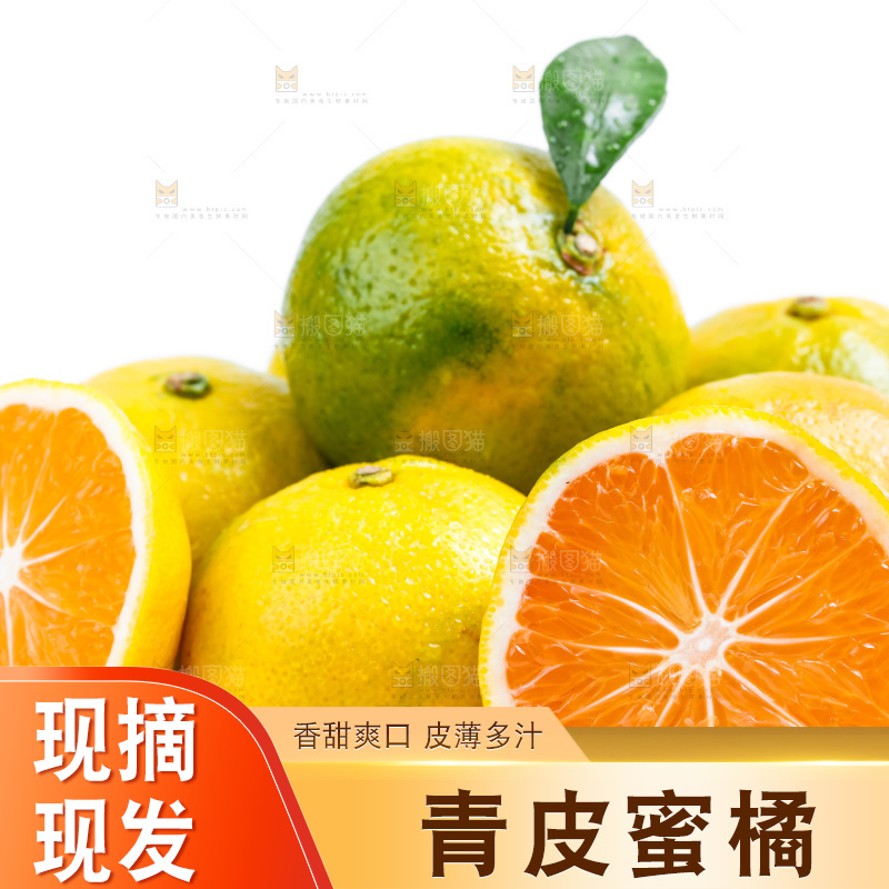 新鲜的青皮蜜橘放在白底上