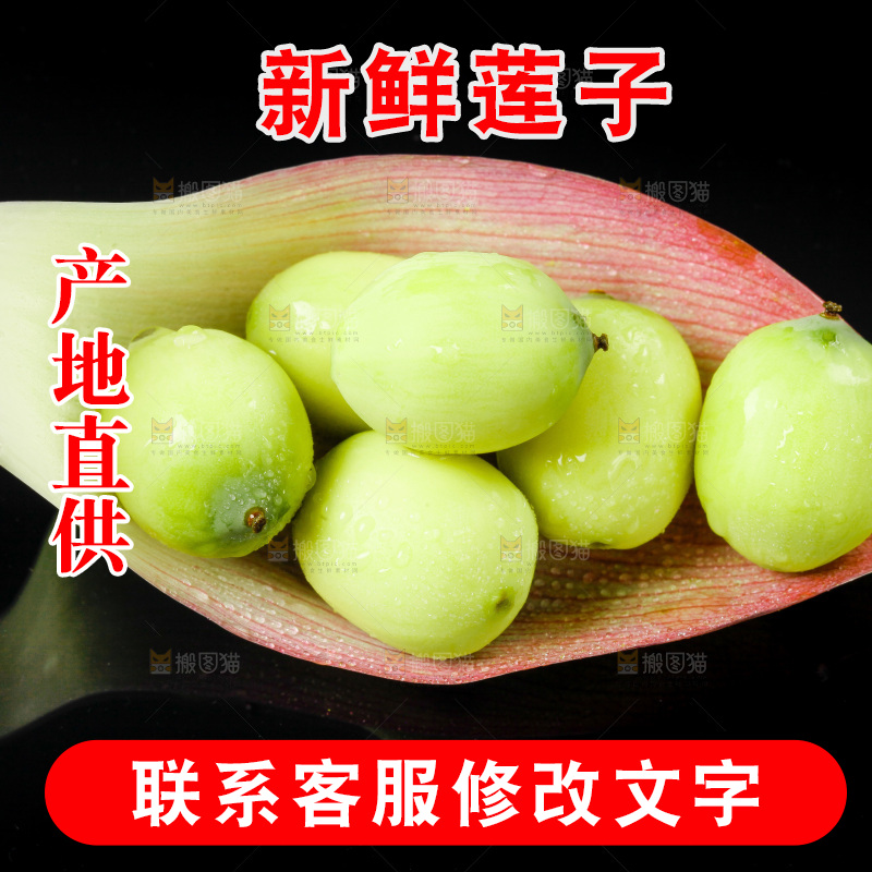 黑底上放着新鲜莲子