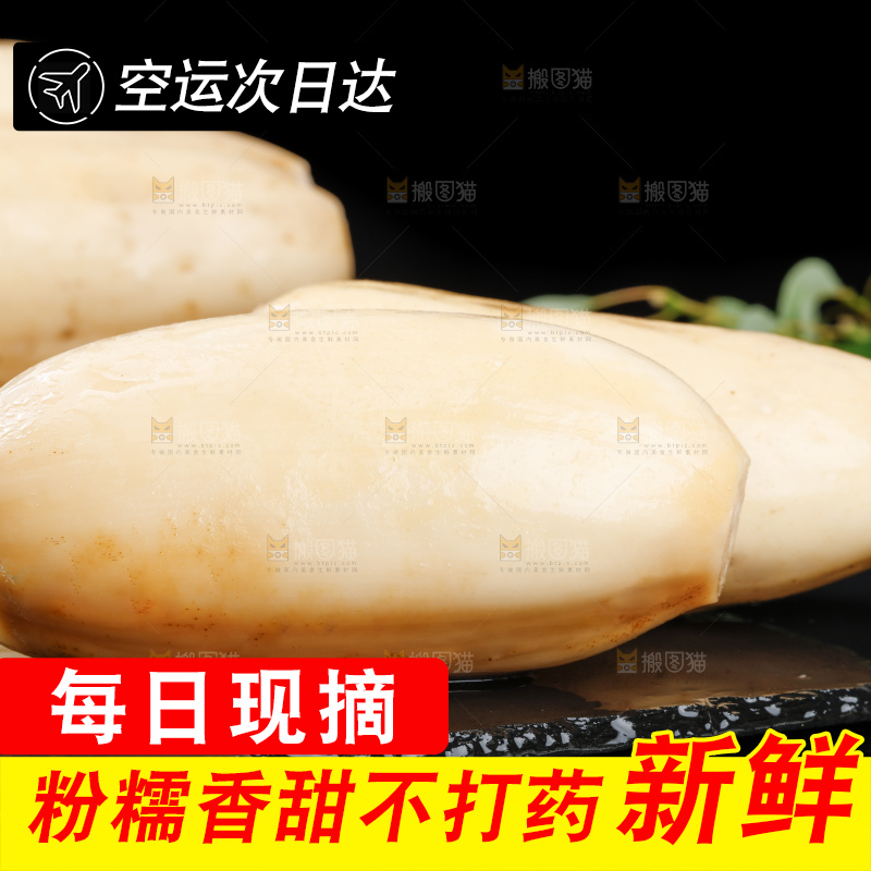 黑底上的莲藕
