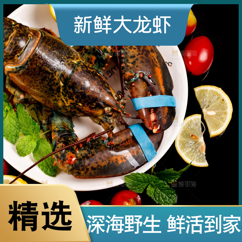 深底上放着澳洲龙虾