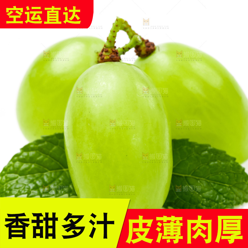 白底上放着新鲜青提