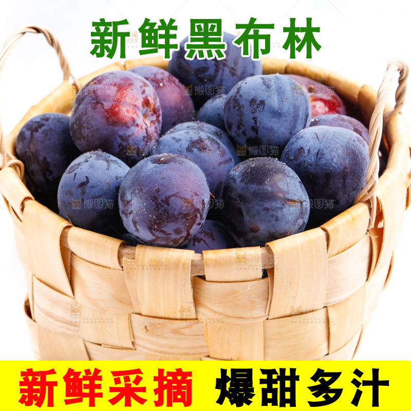 白底上的黑布林