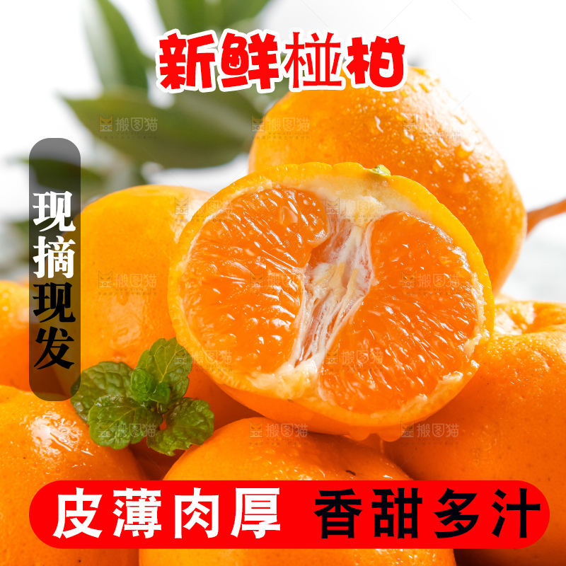 篮子里的广西椪柑