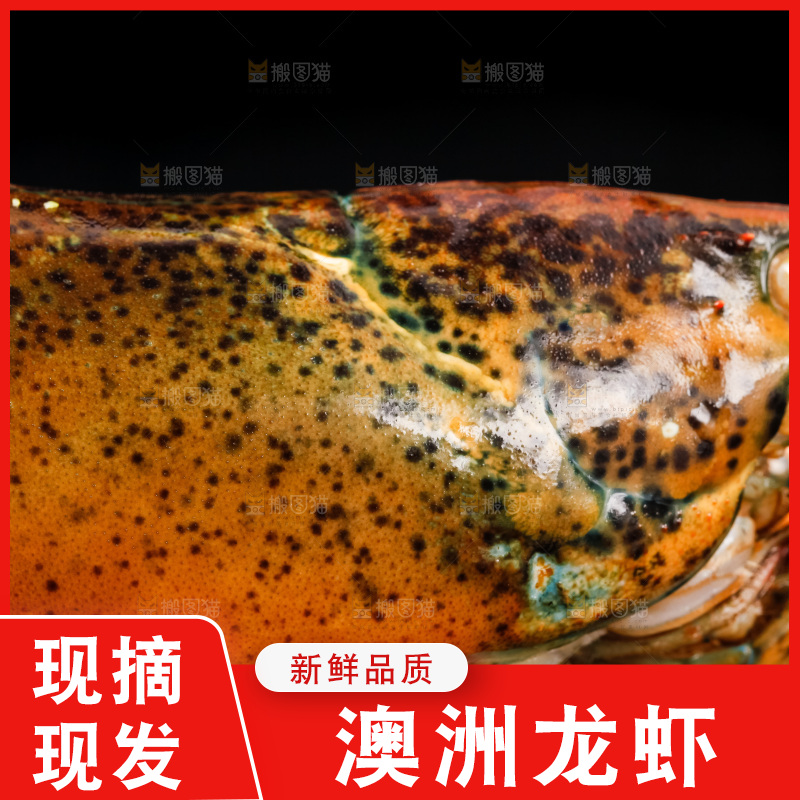 黑底上放着波士顿龙虾