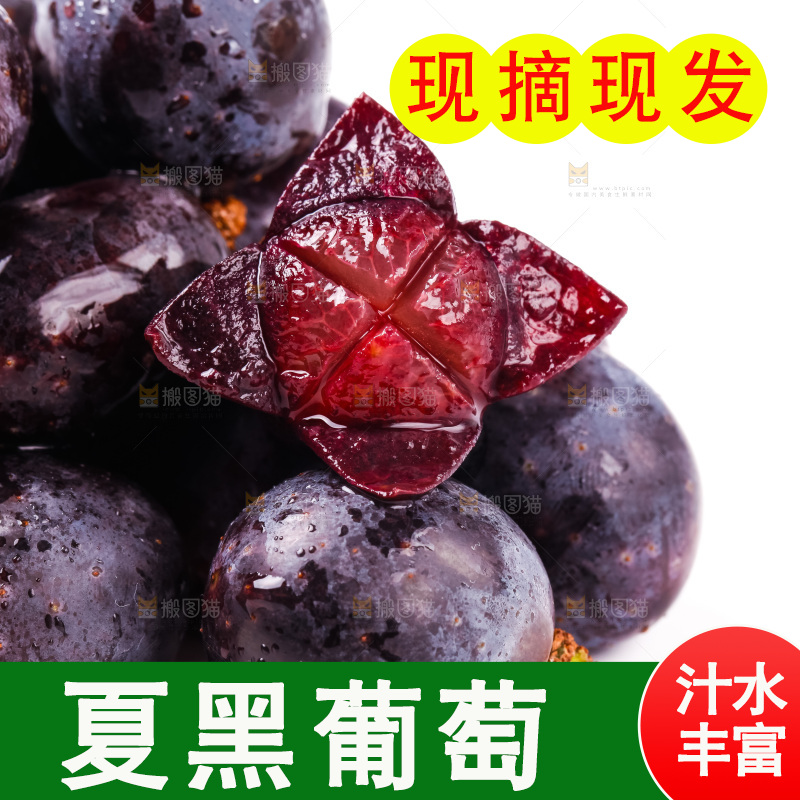 云南夏黑葡萄放在白底上