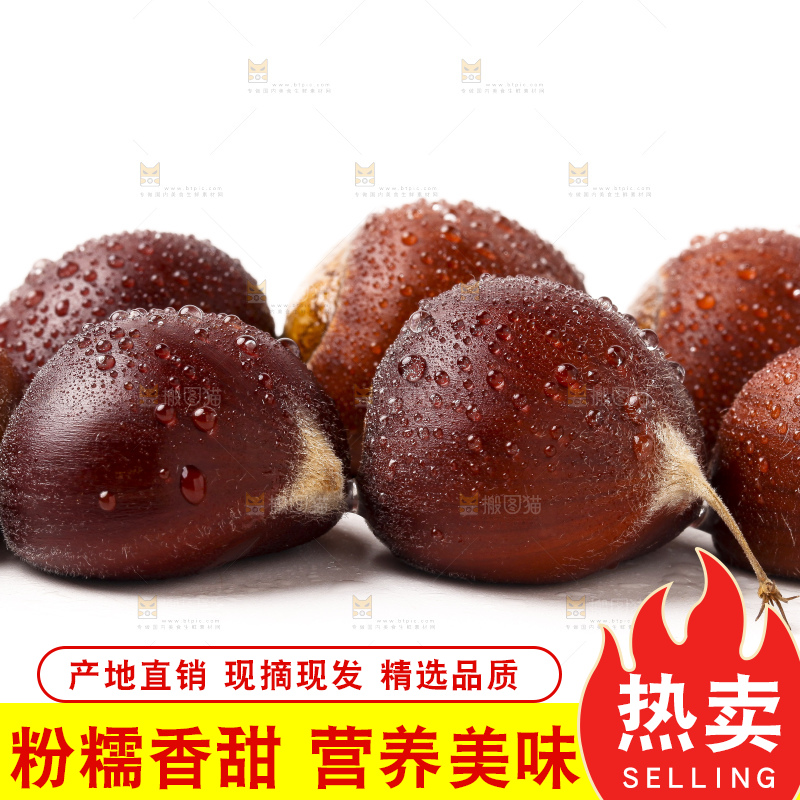 白底上一堆栗子