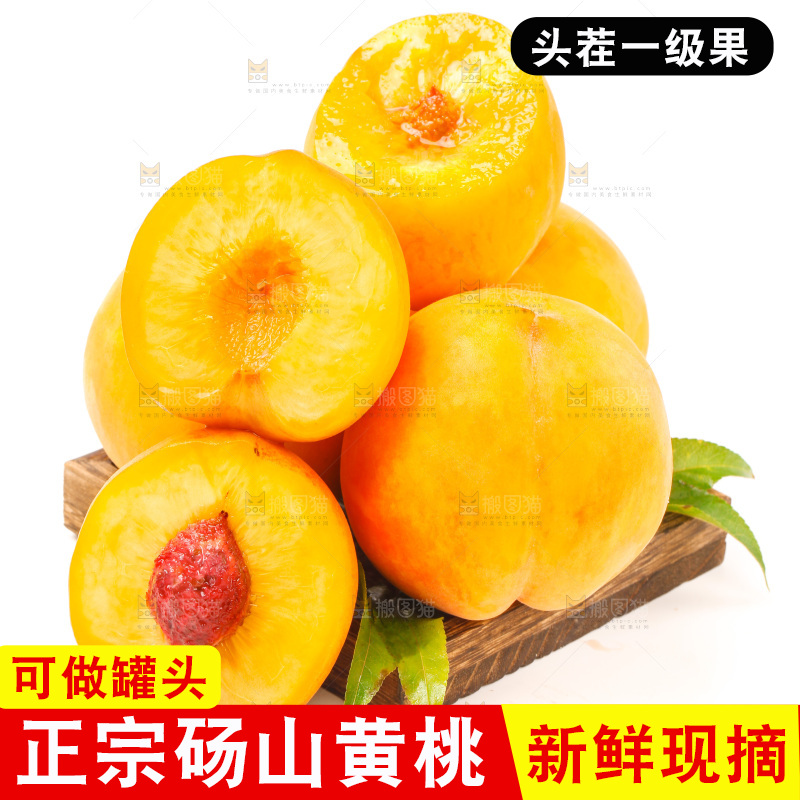 浅底上的山东黄桃