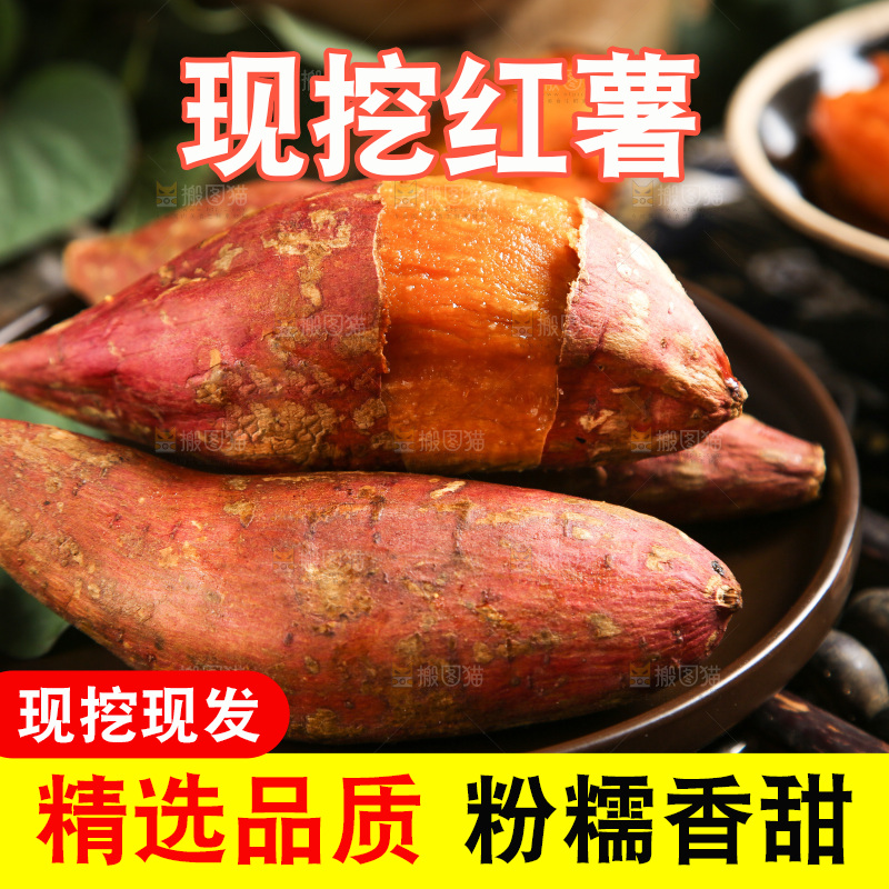深底上的烟薯