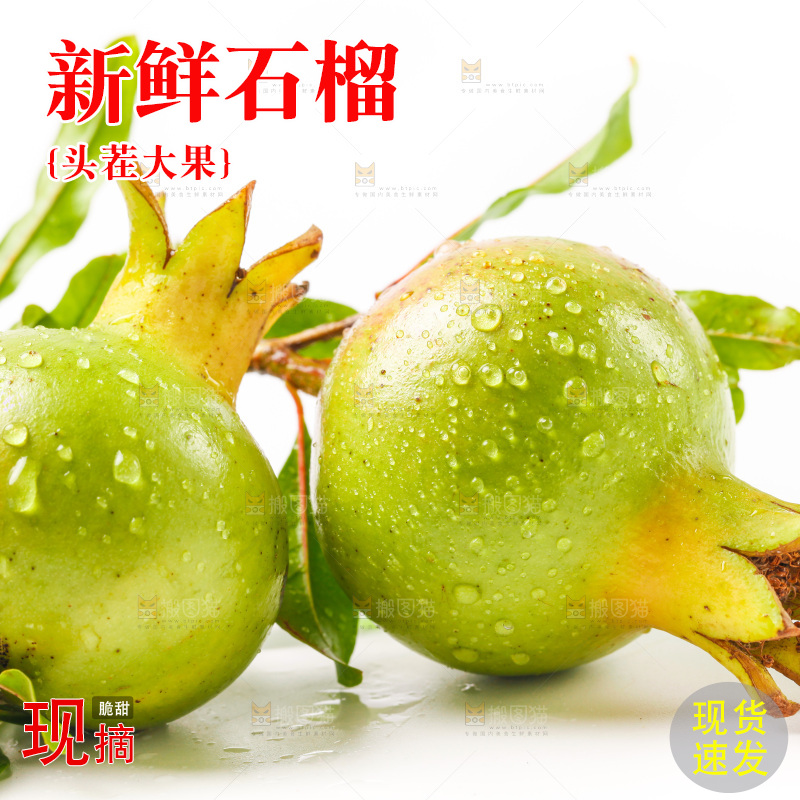 软籽石榴放在白底上