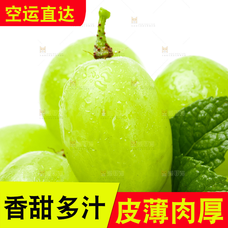 白底上放着新鲜青提