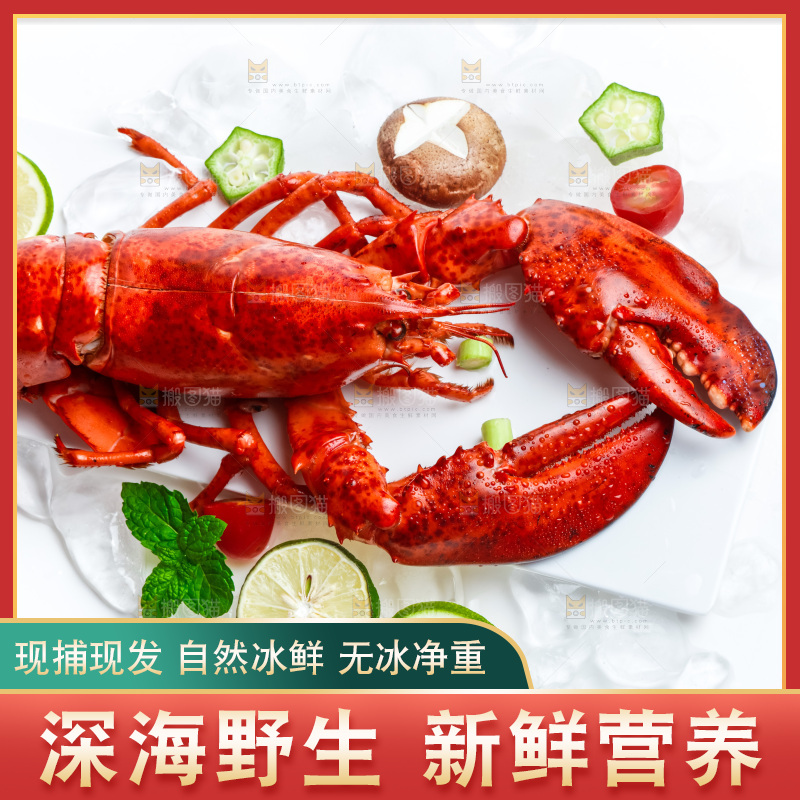白底上放着一盘大龙虾