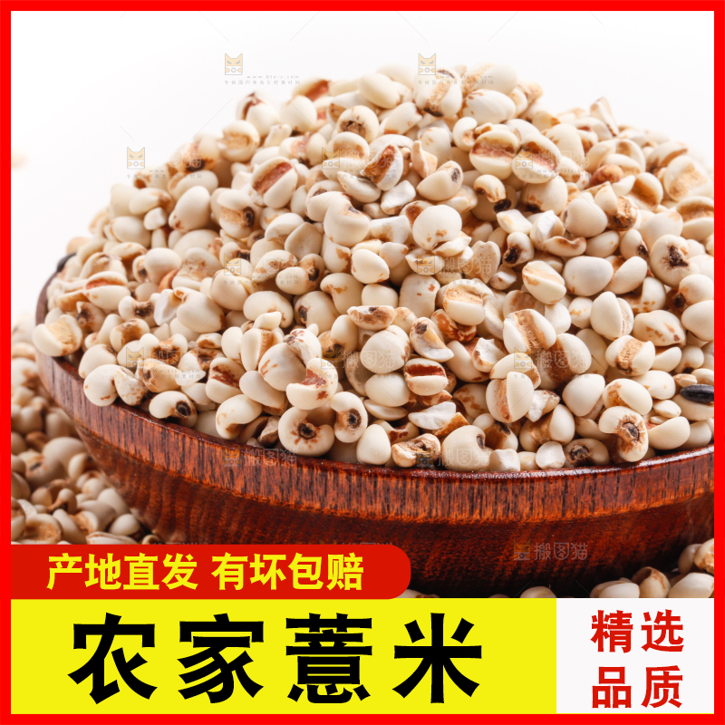 浅底上放着贵州薏米