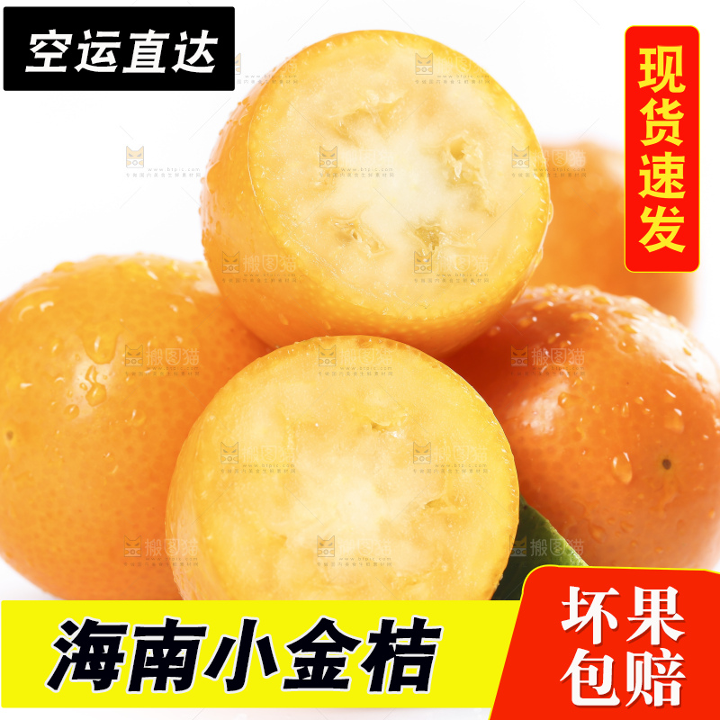 白底上摆放着新鲜金橘