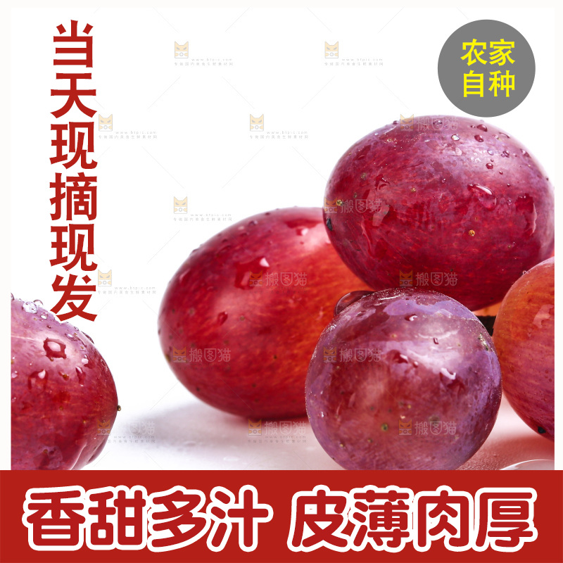 新鲜提子放在白底上