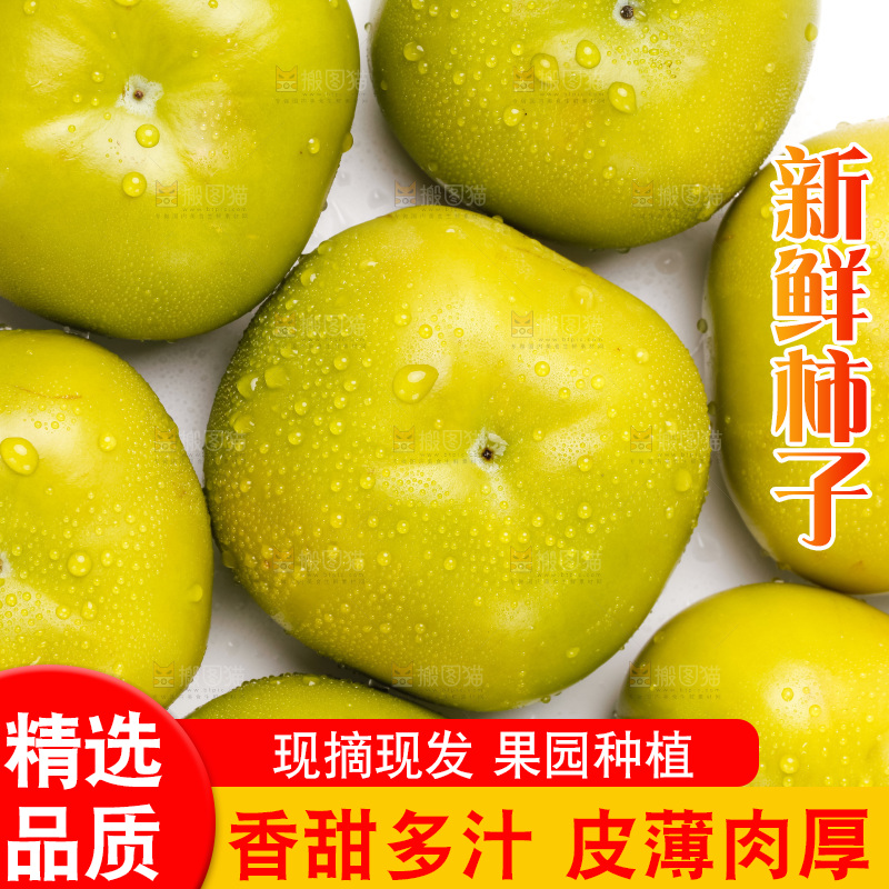 白底上放着青皮柿子