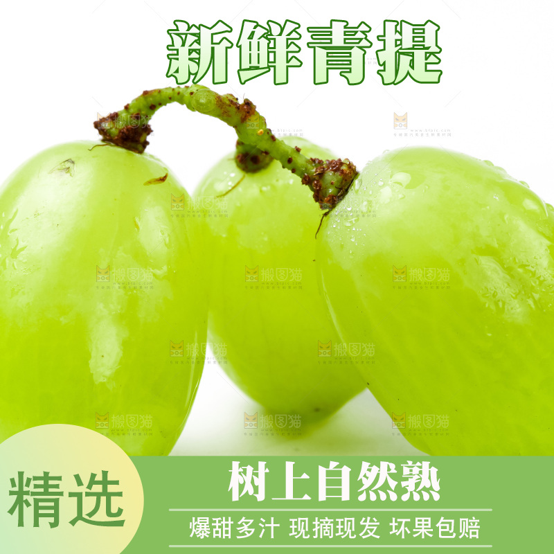 白底上放着维多利亚青提