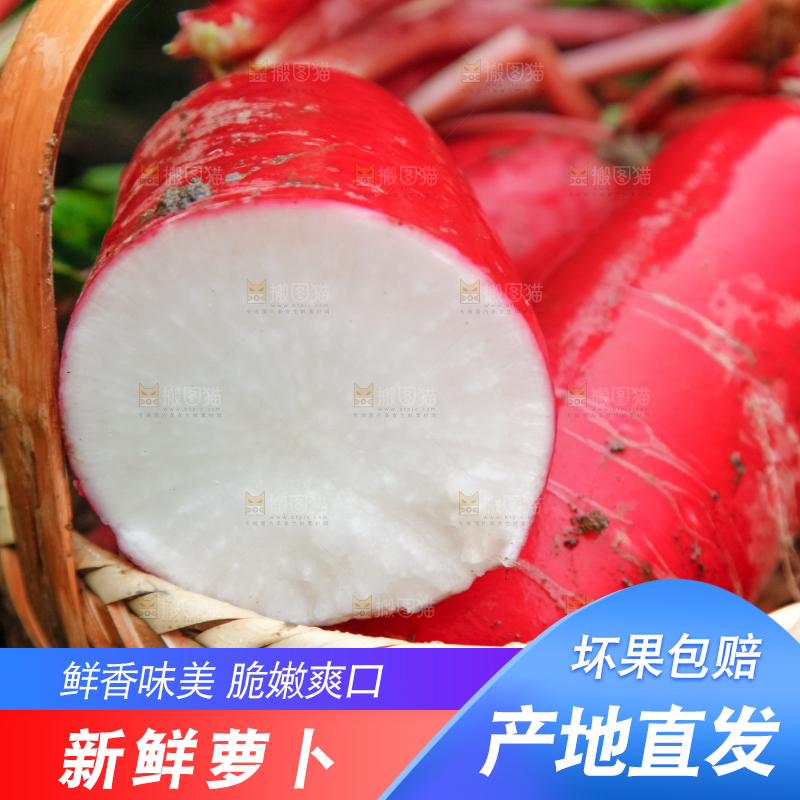 篮子里装着红萝卜