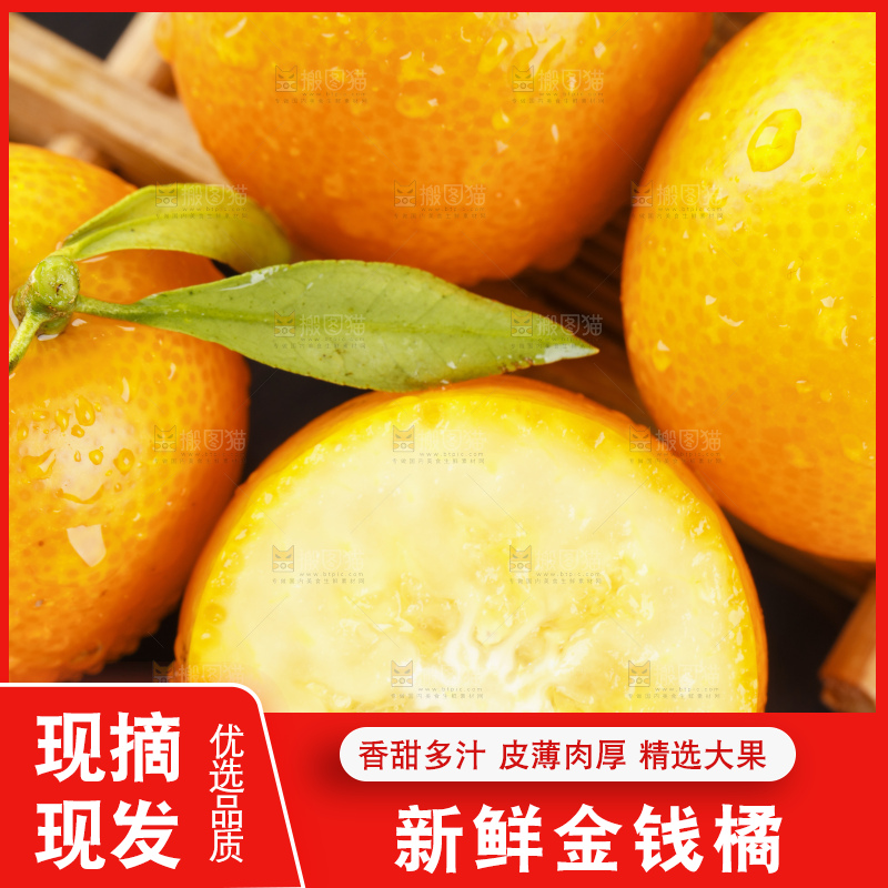 黑石板上的广西金钱橘