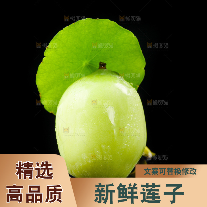 黑底上放着新鲜莲子