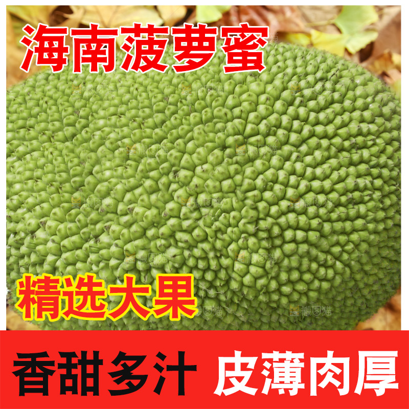 浅底上的泰国红心菠萝蜜