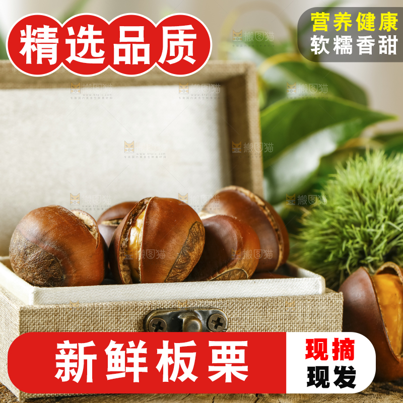 深底上的迁西板栗