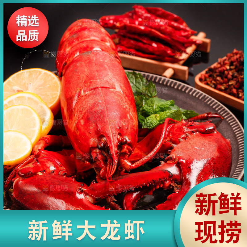 黑底上放着波士顿大龙虾