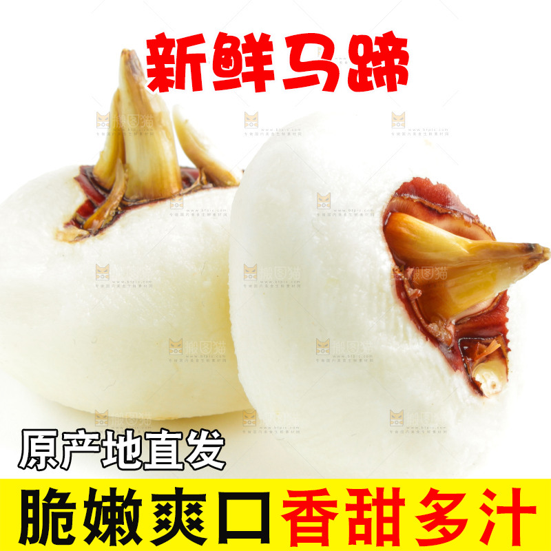 白底上摆放着广西荔浦马蹄
