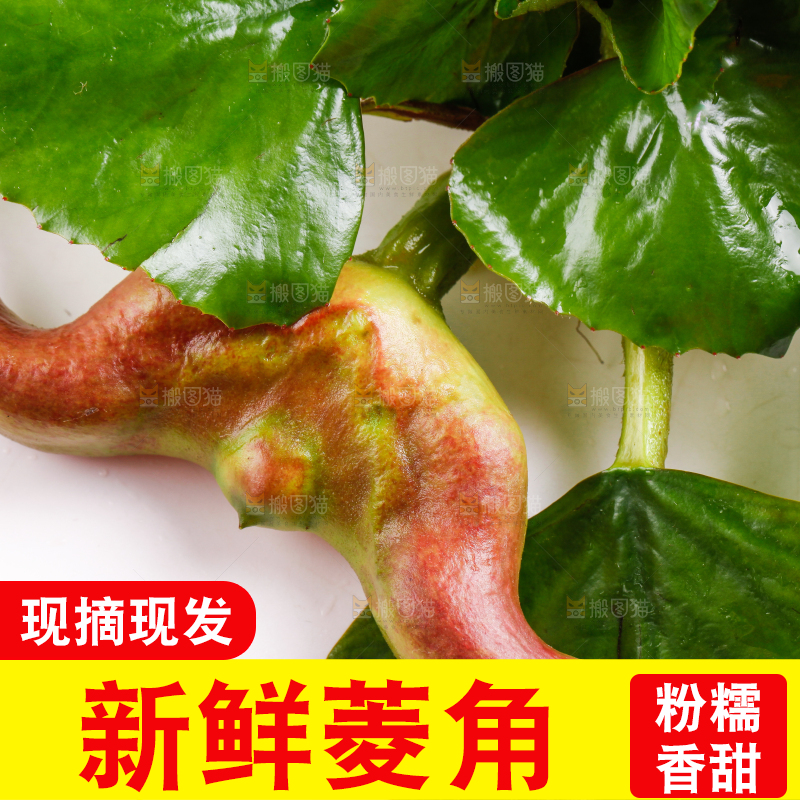 浅底上放着洪湖菱角