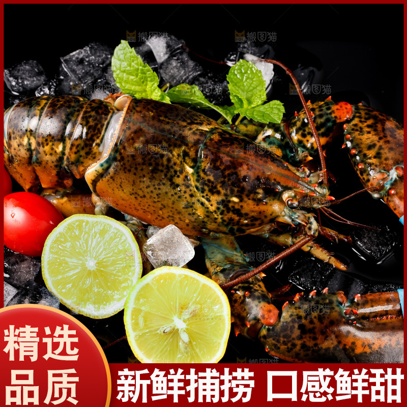黑底上放着波士顿龙虾