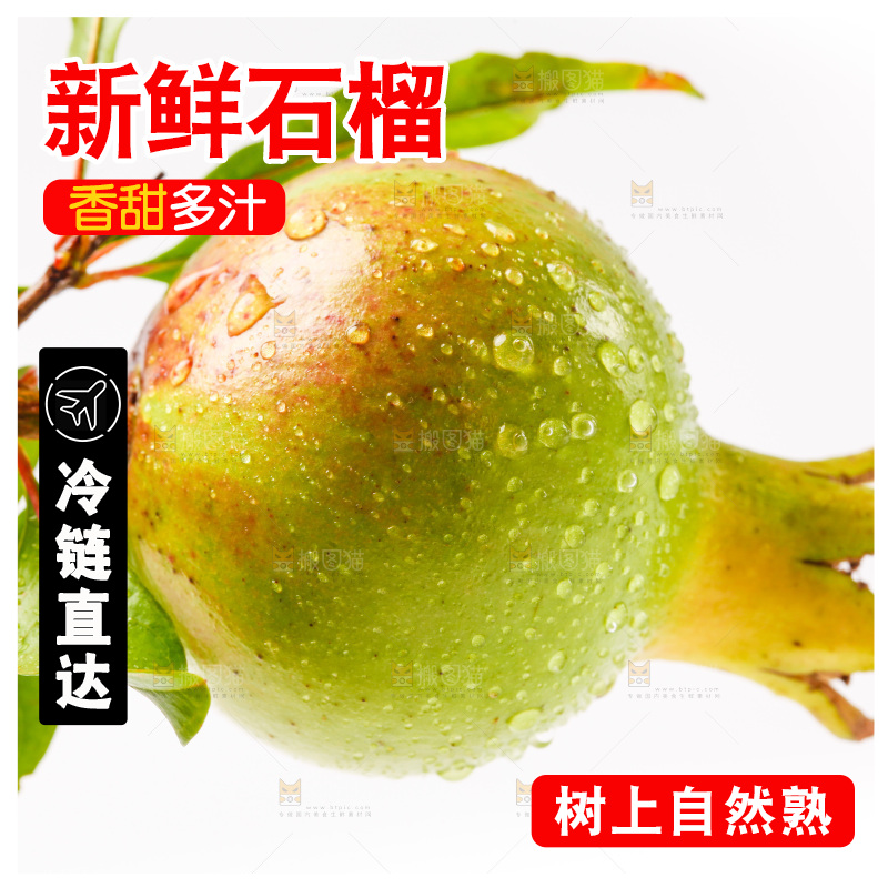 软籽石榴放在白底上