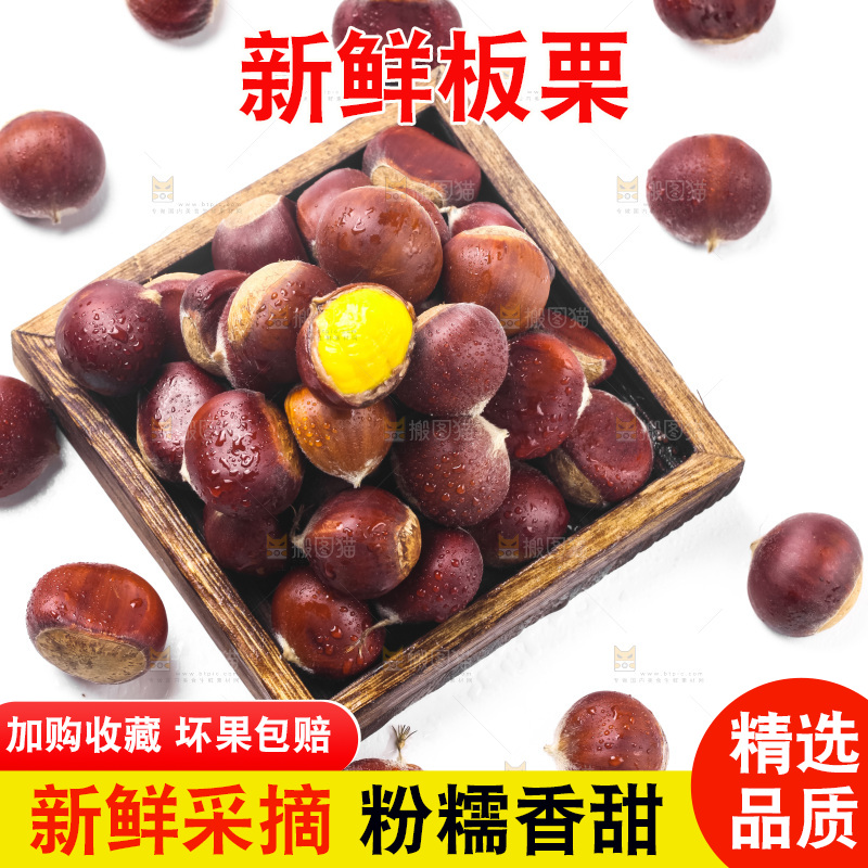 浅底上的板栗