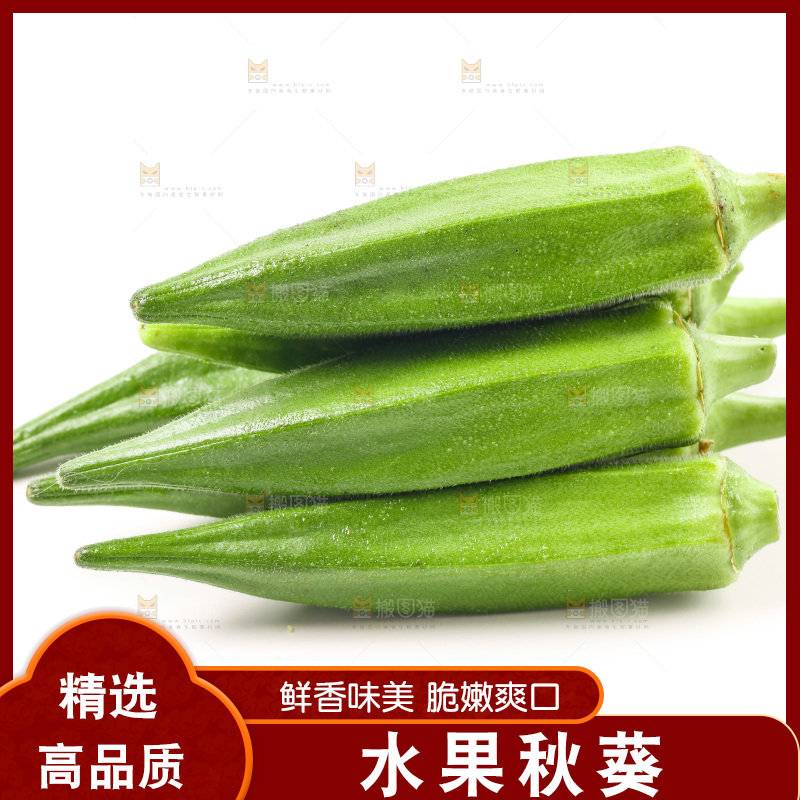 白底上的新鲜秋葵