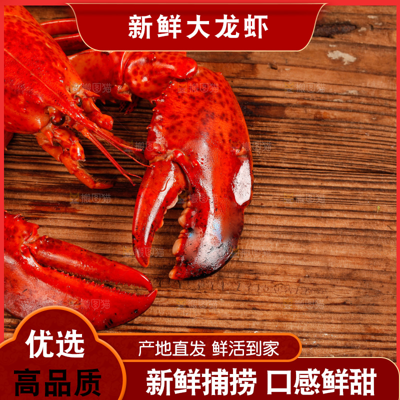 木底上放着大龙虾