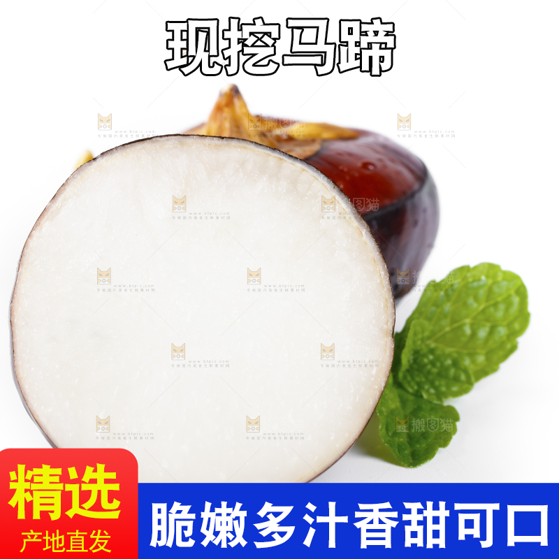 白底上放着广西马蹄