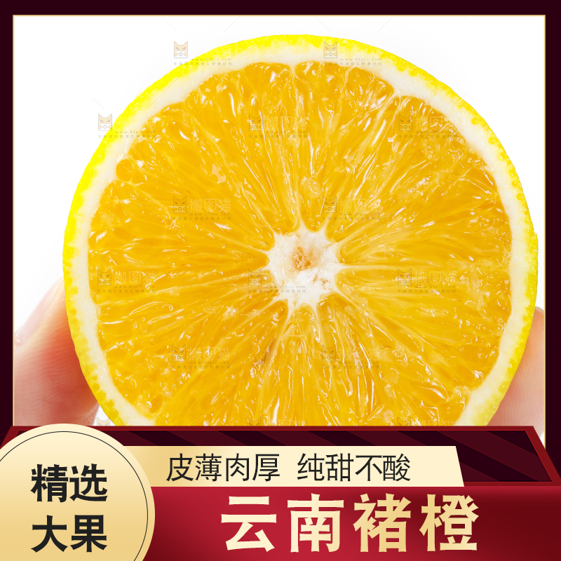 手里拿着新鲜褚橙
