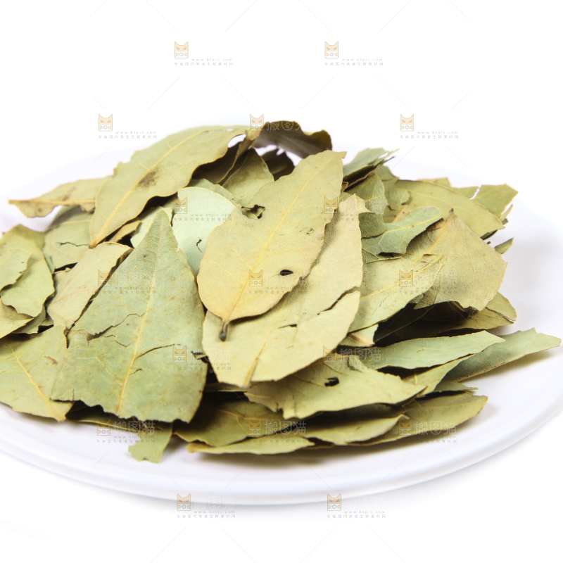白底上的香桂叶