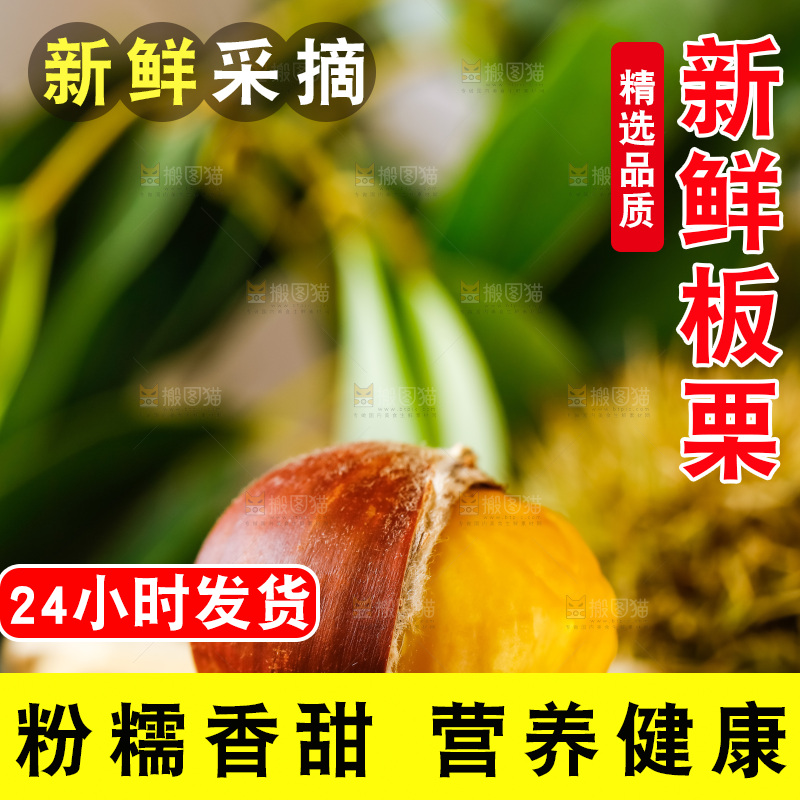 深底上的迁西板栗