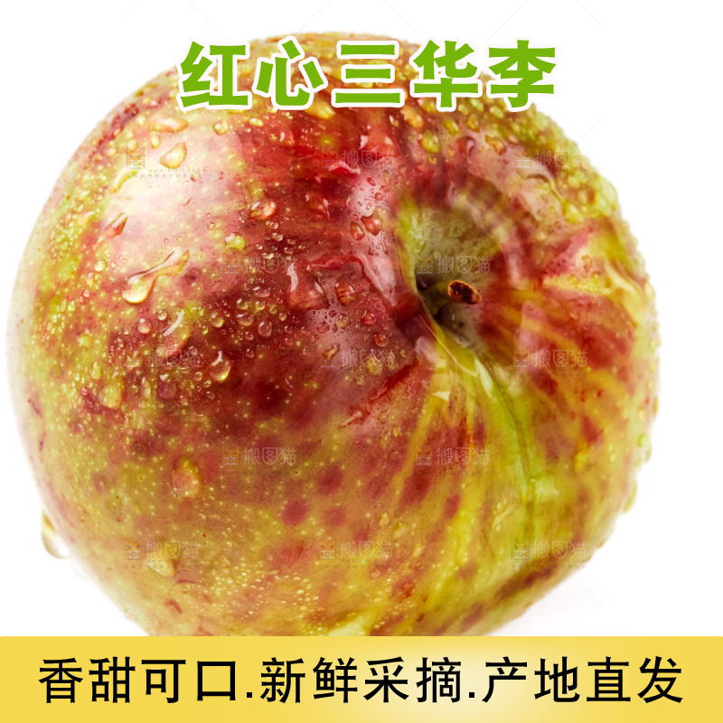 白底上的三华李